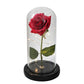 Mothers Day Rose Gift